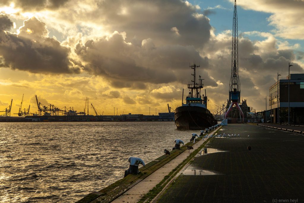 de Fighter in de Schiehaven, Rotterdam, tussen licht en donker